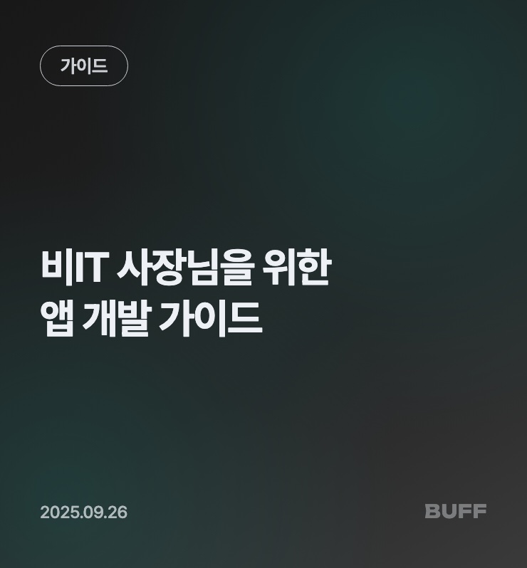 비IT 사장님을 위한 앱 개발 가이드