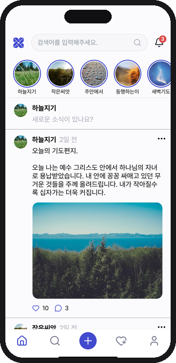 피드